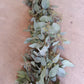 Seeded Eucalyptus Garland | 6 ft | Fresh Farm-Grown | Weddings, Tablescapes & Home Décor (TK)
