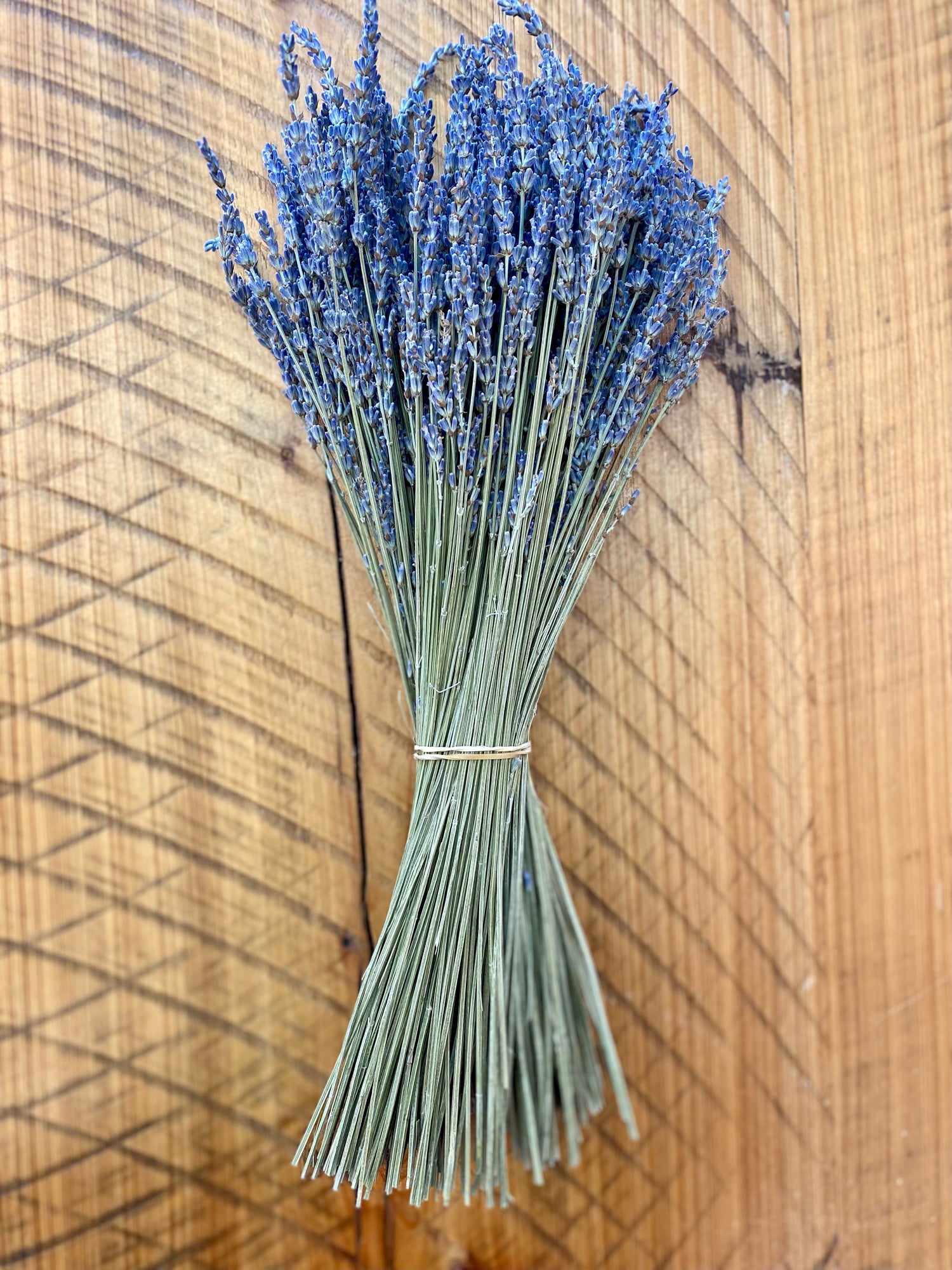 Lavender Bunch - dried