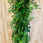 Salal, Italian Ruscus, Green Ivy, and Lilly Grass Garland.