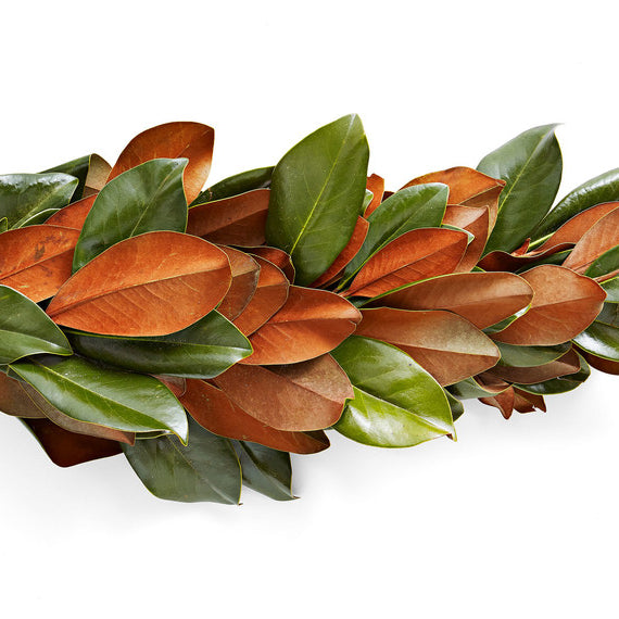 Fresh Magnolia Garland (6 ft Length) for Fall Table Centerpieces, Thanksgiving Decor, and Fall Weddings (TK)