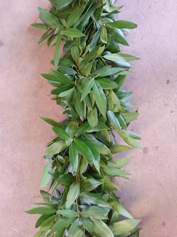 Artificial Olive Seeds Leaf Garland, 60