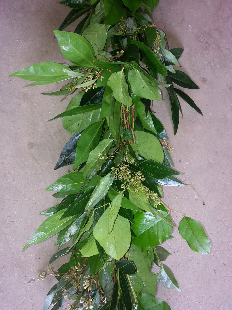 Cocculus, Salal, and Seeded Eucalyptus Garland