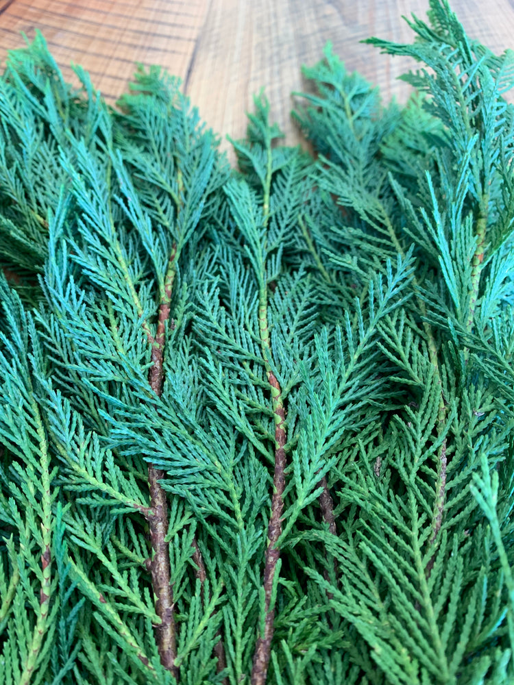 Leyland Cypress Bunches The Garland Guy