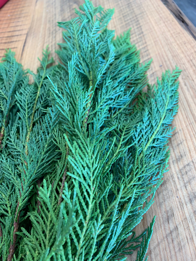 Leyland Cypress Bunches The Garland Guy