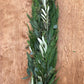 Leyland Cypress, Olive Leaf & Seeded Eucalyptus Garland – Fresh Handcrafted Greenery for Holidays, Weddings & Home