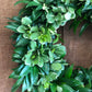 Nagi and Variegated Pittosporum Wreath