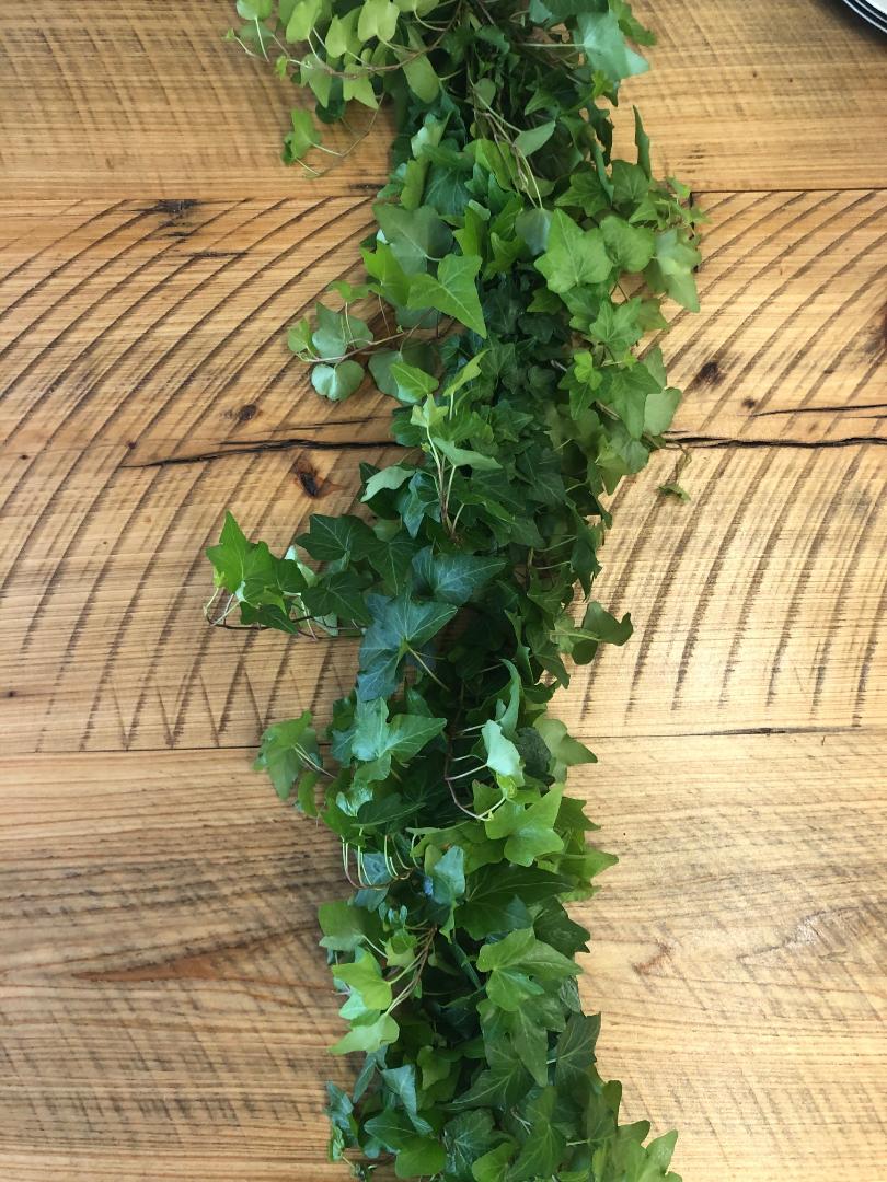 Green Ivy Garland