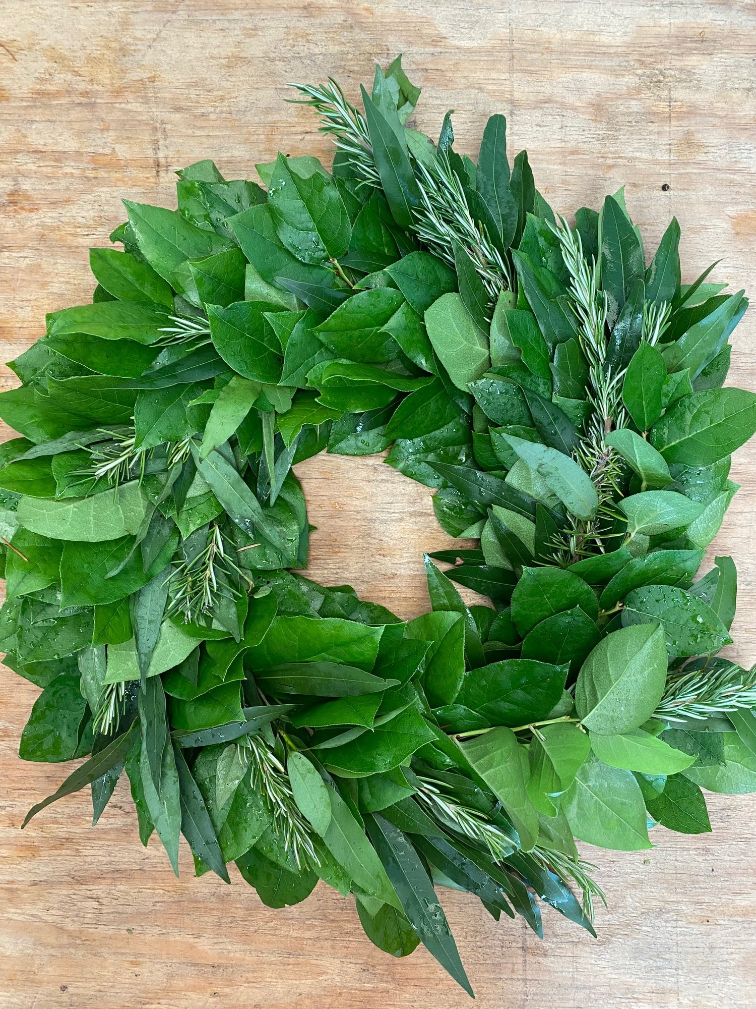 Salal, Bay Leaf, and Rosemary Wreath