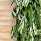 Olive Leaf, Bay Leaf, and Rosemary Garland