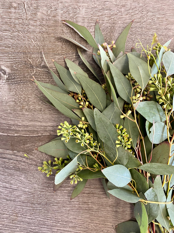 eucalyptus and succulent garland Seeded Eucalyptus Garland