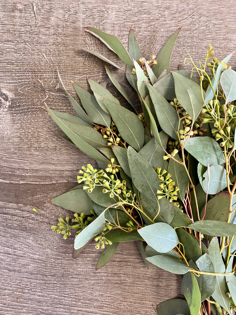 Seeded Eucalyptus Bunches – The Garland Guy