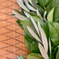 Salal and Olive Leaf