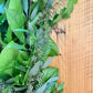 Salal, Italian Ruscus, Green Ivy, and Seeded Eucalyptus Garland