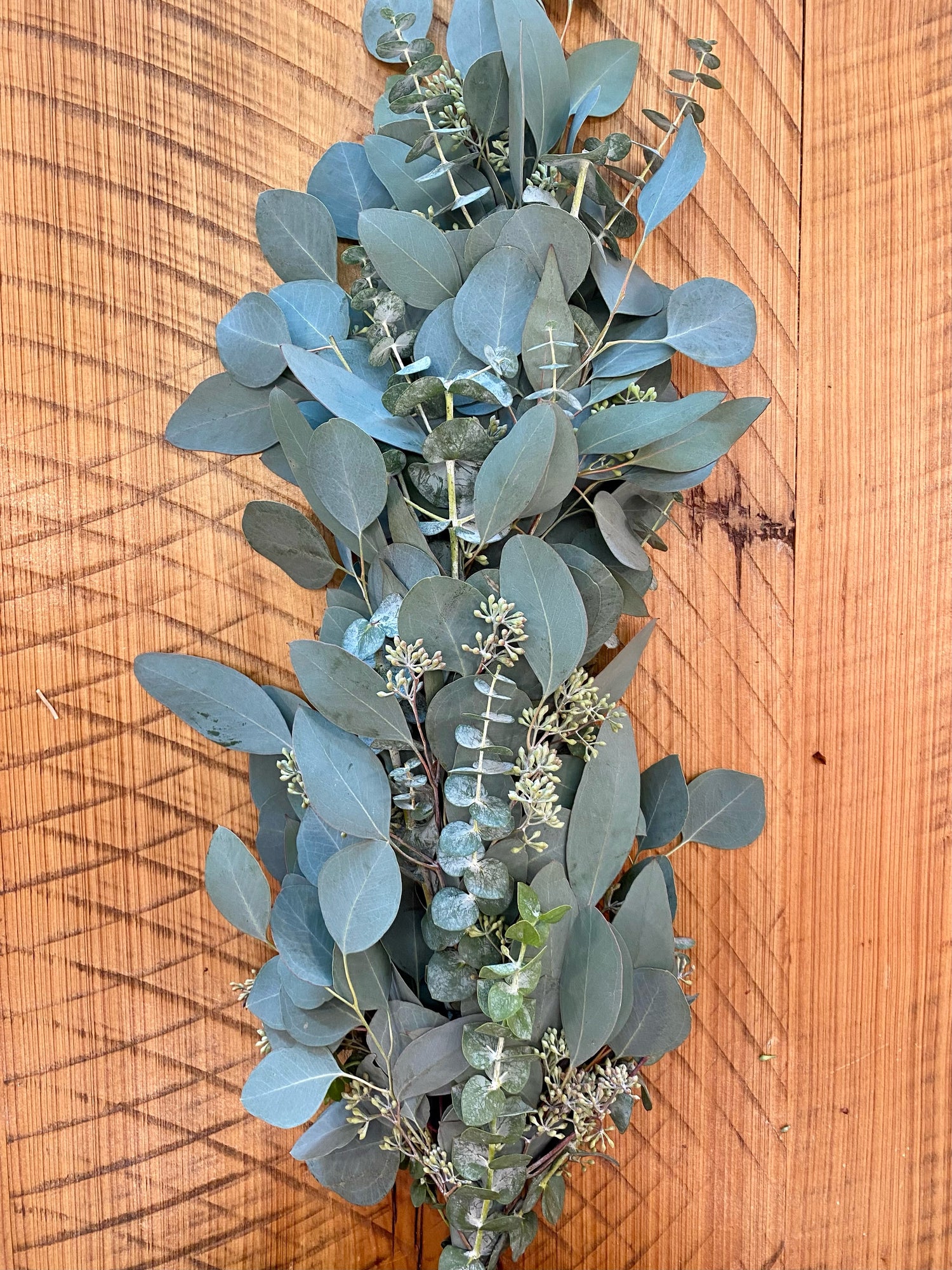 Baby Blue, Silver Dollar, and Seeded Eucalyptus