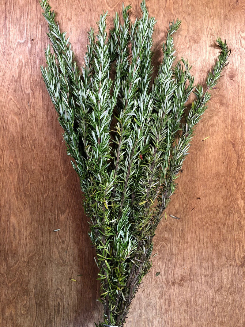 Rosemary Bunches